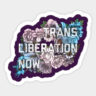 Trans Liberation Now Sticker